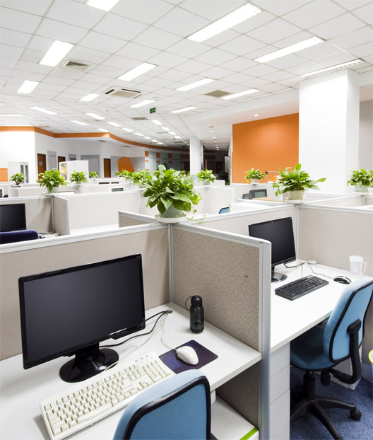 משרד עם עמדות עבודה